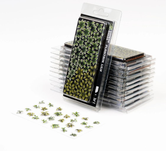 Gamers Grass Plantain Lily Laser Cut Plants