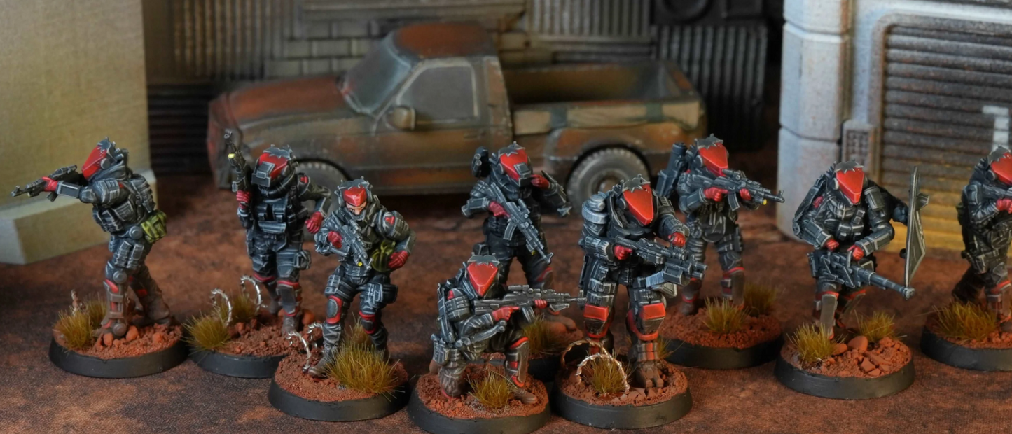 Blkout:  Manticor Borz Group