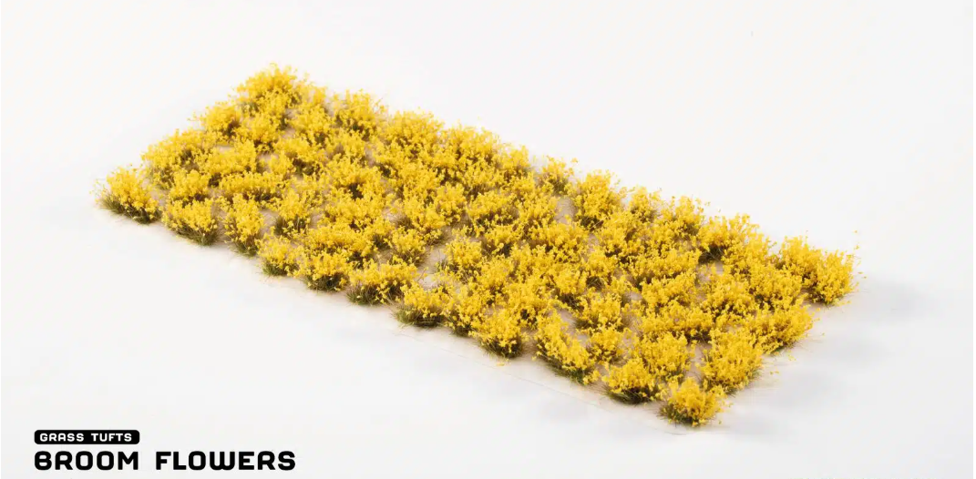Gamers Grass Broom Flowers